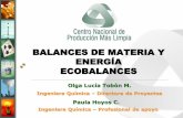 BALANCES DE MATERIA Y ENERGÍA ECOBALANCES · 2016-07-02 · BALANCES DE MATERIA Y ENERGÍA ECOBALANCES Olga Lucía Tobón M. Ingeniera Química –Directora de Proyectos Paula Hoyos