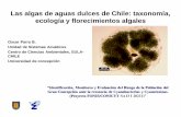 Las algas de aguas dulces de Chile: taxonomía, … · presentes en una muestra de agua y la abundancia de cada una de ellas. • La determinación de la abundancia numérica de especies