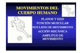 MOVIMIENTOS DEL CUERPO HUMANO - TAFAD y … · 2013-08-08 · movimientos del cuerpo humano planos y ejes funciÓn muscular nucleos de movimiento acciÓn mecÁnica amplitud de movimiento