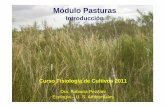 1003972998.PASTURAS T1 2011.pdfecaths1.s3.amazonaws.com/plantastoxicas/1003972998.PASTURAS T… · determinan la abundancia y distribución de especies forrajeras y cómo son afectadas