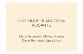 LOS VINOS BLANCOS DE ALICANTE · Molina Huertas/López Lluch La combinación de suelos muy especiales, climas templados y humedades relativas configuran al paisaje alicantino como
