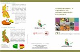 Bajo Medio POTENCIALIDADES Y Alto Licupís, La …zeeot.regioncajamarca.gob.pe/sites/default/files/ZEETriptico02.pdf · Ÿ27,049 ha (2,1%) para cultivos alto andinos, ... ŸEn total,