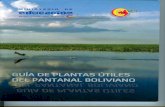 Guía de Plantas Útiles del Pantanal Boliviano · Pantanal que contribuyeron al desarrollo del trabajo de campo ... Ignacio Surubí Rojas de Rio La Cola en ... Su bioclima es transicional