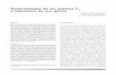 B C Biotecnología de las plantas C 4 y expresión de …digital.csic.es/bitstream/10261/29768/11/sahrawy.pdf · BIOTECNOLOGÍA DE LAS PLANTAS C 4 ... la transducción de señales