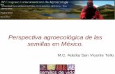 Perspectiva agroecológica de las semillas en México. · Uno de los tres grandes inventos de la humanidad: Las semillas son principio y fin: ... Distribución de los bancos de genes