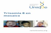 Trisomía 8 en mosaico - rarechromo.org 8 en... · A uno de estos bebés también le hicieron una resonancia magnética fetal que identifico agenesia del cuerpo calloso (ACC: una