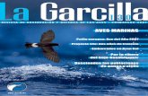 Por la ribera del bajo Guadalquivir Descienden las ... · prospectados y 40 especies de aves marinas observadas. Estas campa-ñas han cubierto la plataforma ibé-rica mediterránea