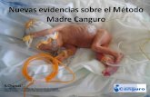 Nuevas evidencias sobre el Método Madre Canguro · MMC y Control del dolor: 1Cross Over Study, 2 PTP, ... La intervención Canguro alimenta el cerebro del niño a través de ...
