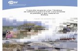 Consulta respecto a los Términos de referencia para la …api.commissiemer.nl/docs/mer/diversen/078_tor_advice_es.pdf · Estudio de Evaluación de Impacto Ambiental Estratégico