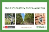 RECURSOS FORESTALES DE LA AMAZONIA - … · Información actualizada y confiable sobre recursos de flora y fauna silvestre, biomasa, carbono e información socioeconómica. ... Loreto.