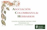 ASOCIACIÓN COLOMBIANA de HERBARIOS - … · Artículo 1: La flora colombiana. La conservación, la protección, la propagación, la investigación, el conocimiento y el uso sostenible