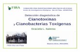 Detección diagnóstica de Cianotoxinas Cianobacterias … · Toxinas cianobacterianas (Metabolitos secundarios) HEPATOTOXINAS (microcistina, nodularina, péptidos cíclicos) Anabaena
