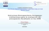 Estructura Presupuestaria Paraguaya: Limitaciones … · Presupuesto TIPO 1 TIPO 2 TIPO 3 TIPO 4 Niveles de desagregación Programas de Administración Programas de Acción Programas