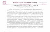 Boletín Oficial de Castilla y Leóniesdiegodepraves.centros.educa.jcyl.es/sitio/upload/BOCYL-_BIE... · desarrollo del bachillerato de investigación/excelencia en la Comunidad de