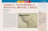 Pueblos indígenas Sudamérica TOMO V– …elbibliote.com/resources/Temas/Historia/703_712_pueblos_indigenas... · valiéndose de técnicas ancestrales de cultivo. Su economía es