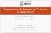 Conceptos en Manejo Integrado de Plagas - ipeh.com.peipeh.com.pe/presentaciones/12-de-noviembre/25Juan_Cabrera_Thrips... · Las condiciones cambiantes del clima y el manejo de otras