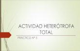 ACTIVIDAD HETERÓTROFA TOTAL - agro.unc.edu.aragro.unc.edu.ar/~microbiologia/wp-content/uploads/2014/04/Trabajo... · microbiana Heterótrofa total (producción de CO 2, consumo de