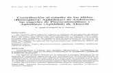 Contribución al estudio de los áfidos (Homoptera ... · RESUMEN Se exponen datos sobre la captura en Almería de 44 especies de áfidos ... nivel del mar correspondientes a las
