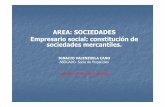 AREA: SOCIEDADES Empresario social: constitución de ... · -Organización y estructura de la empresa. ... CARACTERES BÁSICOS SRL Y ANÓNIMAS ... La constitución de una sociedad