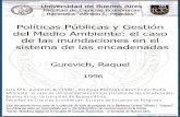 Políticas Públicas y Gestión del Medio Ambiente: el …bibliotecadigital.econ.uba.ar/download/tpos/1502-0050_GurevichR.pdf · Gurevich, Raquel 1996 Cita APA: Gurevich, R. (1996).