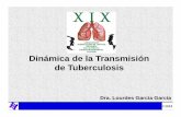 Dinámica de la Transmisión de Tuberculosis · Secretaría de Salud del Estado de Veracruz ... Minerva Junco Universidad de Stanford Gary Schoolnik Midori Kato (UC ... 21 F Ama de