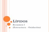 LÍPIDOS - [DePa] Departamento de Programas …depa.fquim.unam.mx/amyd//archivero/2-LIPIDOS-RESUMEN1_31466.pdf · Satisfacen la definición de lípido pero no son lípidos simples