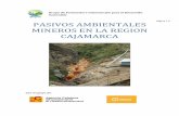 PASIVOS AMBIENTALES MINEROS EN LA REGION …V4.0... · Estudio de Impacto Ambiental Semidetallado2 (EIA-sd): Proyectos cuya ejecución puede originar impactos ambientales moderados
