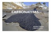 CARBONATITAS [Modo de compatibilidad] · pppipa de carbonatita puede llegar a superar 500 m ... Fosforo, Niobio, Tierras raras. ... En un principio las labores mineras se iniciaron