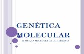 genética molecular - iesparquegoya.esiesparquegoya.es/files/Ciencias Naturales/PILAR... · ATCG se combinan de 3 en 3 formando 64 palabras, cada una de las cuales se traduce como