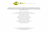 Informe del Comité de Bioética de España sobre el ...assets.comitedebioetica.es/files/documentacion/Informe Anteproyecto... · 1 Informe del Comité de Bioética de España sobre