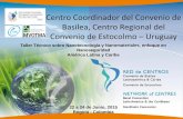 Centro Coordinador del Convenio de Basilea, Centro ... · • Minimización y gestión ambientalmente racional de residuos con mercurio que afectan a las poblaciones más expuestas