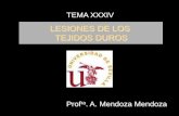 LESIONES DE LOS TEJIDOS DUROS · LESIONES DE LOS TEJIDOS DUROS Profra. A. Mendoza Mendoza ... 3 Periapicales con Diferente angulación) - Perpendicular al rayo central . ANCHURA BIOLOGICA: