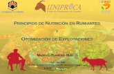 PRINCIPIOS DE NUTRICIÓN EN RUMIANTES Y - uco.es · -Celulosa, hemicelulosa, lignina-Eficiencia por especie-Microbiota: bacterias, arqueas, protozoos, ... Metano ACETATO BUTIRATO