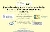 Presentación de PowerPoint - UNAM · • Nueve (9) tesis de Maestría se han realizado sobre el tema del biodiesel. • Intereses actuales están enfocados a ... Nogal Carya illinoensis