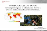 Investigación para la adaptación frente a efectos ...interclima.minam.gob.pe/IMG/pdf/Mesa_03_-_Jaime_Puicon_GIZ-PDRS... · TESIS DE PREGRADO Murga Orrillo Hipólito (2010) Universidad