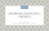 Síndrome hemolítico urémico - INICIO - sochempsochemp.cl/...CSG_SUISINDROME-HEMOLITICO-UREMICO.pdf · SÍNDROME HEMOLÍTICO URÉMICO Carolina Serpa Gallardo Becada de pediatría