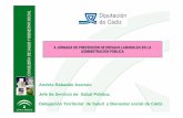 Andrés Rabadán Asensio Jefe de Servicio de Salud … · • Neumoconiosis : acumulación de polvo en los pulmones Conjunto de enfermedades pulmonares resultantes de la inhalación
