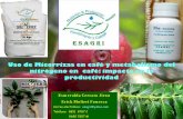 Uso de Micorrizas en café y metabolismo del …. Situación actual de la caficultura nicaraguense 2. Ecofisiología del café (luz, CO2, agua, temperatura, nitrógeno),fotosíntesis.