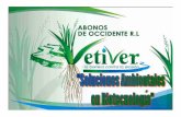 Acerca de nosotros - VETIVER NETWORK … Vetiver Integra principios científicos básicos de la hidrología, mecánica de suelos y procesos naturales similares para el tratamiento