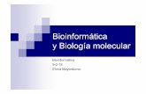 Bioinformática y Biología molecularwebdiis.unizar.es/asignaturas/Bio/wp-content/uploads/...Biología molecular para poder desarrollar y evaluar modelos abstractos y técnicas para