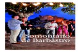 Somontano de Barbastro - La Magia de Viajar por Aragón · demostradas las posibilidades que ofrece Internet en el ámbito de la promoción turística, y hoy en día ... La web dispone