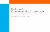 Colección Gerencia de Proyectos - Curso Formulación … · Los altos niveles de productividad que exige el mercado global ... falta de proyectos de investigación y desarrollo,