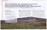 C RevistaGanadería2007 - cifacantabria.orgcifacantabria.org/Documentos/2007_OVINO PASTOS... · [Dossier] [ MANEJO DE ALIMENTACIÓN ] Alimentación Animal Un sistema de pastoreo ovino