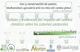 Madrid, 1 y 2 de diciembre - inicio SEEP auxiliares/curso uso y conservacion pastos... · Uso y conservación de pastos: biodiversidad y ganadería ante los retos del cambio global