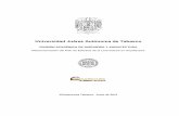 Universidad Juárez Autónoma de Tabasco - …archivos.ujat.mx/DAIA/carreras/ARQUITECTURA 20 DE... · Reestructuración del Plan de Estudios de la Licenciatura en Arquitectura ...