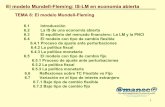 TEMA 6: El modelo Mundell-Fleming - UCM …webs.ucm.es/info/amanece/oferdocs/modeloF.pdf · 6.3 El equilibrio del mercado financiero: La LM y la PNCI 6.4 El modelo con tipo de cambio