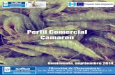 Presentaci³n - Ministerio de Agricultura Ganader­a y ...web.maga.gob.gt/download/perfil   El Proyecto