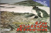 Un Calido Rincon - Grillo - Mendive -1987 - seakrill.com · No deja, además, de ser un lugar agradable frecuentado por gente elegante que, por fortuna, no da pautas tic una mayor