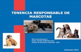 TENENCIA RESPONSABLE DE MASCOTAS - …dosesteros.cl/documentos/articles_55727_Tenencia_Responsable_MM… · Causada por un virus que afecta a animales domésticos y salvajes, y se