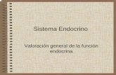 Valoración general de la función endocrina - mural.uv.esmural.uv.es/rasainz/1.2_ENDOCRINO_TEMA_47.pdf · sequedad de la piel (hipotiroidismo) ... • Instruir al paciente para la